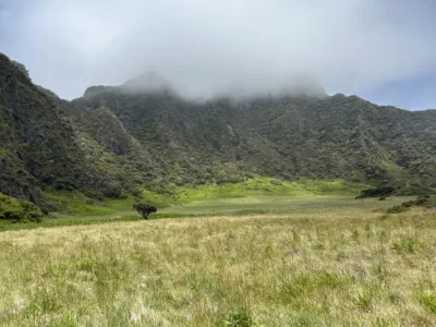 Photo of the Day: Paliku Cabin